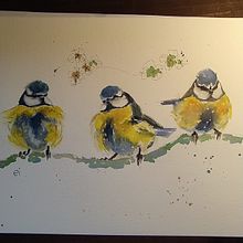 Il mio progetto del corso: Acquerello artistico per illustrazione di animali: gli uccelli. Un progetto di Illustrazione tradizionale, Pittura ad acquerello, Disegno realistico e Illustrazione naturalistica di eleonoraiotti71 - 18.03.2022