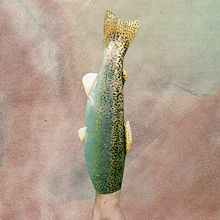 Sirenas Video. Un proyecto de Cine, vídeo, televisión, Animación y Collage de Johnattan Ríos Valencia - 24.02.2019