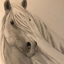 My project for course: Expressive Animal Portraits in Watercolor. Traditional illustration, Watercolor Painting, Realistic Drawing, and Naturalistic Illustration project by Karen - 01.29.2022
