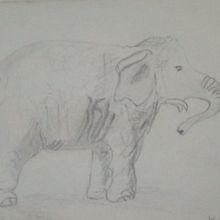 Elephant Sketch  Ein Projekt aus dem Bereich Traditionelle Illustration von etchedbyfaith - 20.03.2022