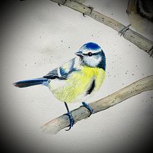Birds on a twig from Sarah Stokes’ course. Pintura projeto de Katja - 20.03.2022