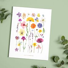 Herbiers et motifs colorés. Floral, Plant Design, and Pattern Design project by Fiona Luciani - 03.20.2022