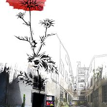 Des-generades portada. Un proyecto de Ilustración tradicional, Publicidad y Diseño editorial de Blanca Ilustración - 14.02.2021