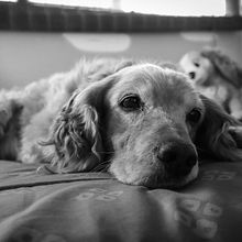 Mateo, un hermoso senior .... Photograph, Portrait Photograph, Instagram Photograph, Documentar, Photograph, Lifest, and le Photograph project by Karen Lorca Abba - 03.18.2022