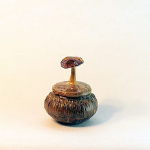 Mushroom Pot's. Ceramics project by Suzi Wilson - 01.18.2018