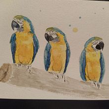 My project for course: Artistic Watercolor Techniques for Illustrating Birds Ein Projekt aus dem Bereich Traditionelle Illustration, Aquarellmalerei, Realistische Zeichnung und Naturalistische Illustration von Olive - 21.03.2022