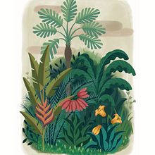 Amazonas. Projekt z dziedziny Trad, c, jna ilustracja, Ilustracja c, frowa, Ilustracja naturalist i czna użytkownika Giuditta Bussetti - 21.03.2022