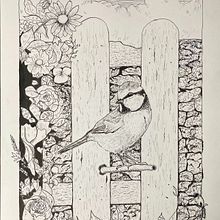 My project for course: Dip Pen and Ink Illustration: Capturing The Natural World. Sketching, Drawing, Artistic Drawing, Sketchbook, Ink Illustration, and Naturalistic Illustration project by caline_pash - 03.21.2022