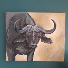 Cape Buffalo. Fine Arts, and Traditional illustration project by sweldforester - 03.22.2022