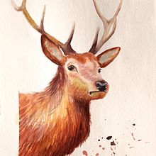My project for course: Expressive Animal Portraits in Watercolor. Projekt z dziedziny Trad, c, jna ilustracja, Malowanie akwarelą, R, sunek realist, czn, Ilustracja naturalist i czna użytkownika sourcitron - 22.03.2022
