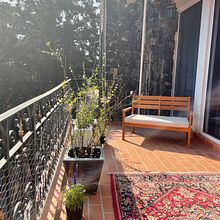 Acceso principal Bosque de la divina  Providencia. L, scape Architecture, Floral, Plant Design, Spatial Design, and Design project by Maria de Lourdes Lopez Moreno - 03.10.2022