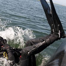 Voglio aiutare le aziende che forniscono servizi per le immersioni a migliorare la qualità del loro servizio. Un proyecto de Business de Alessandro Meoni - 22.03.2022