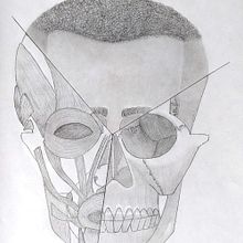 My project for course: Figure Drawing: The Human Head Ein Projekt aus dem Bereich Bildende Künste, Bleistiftzeichnung, Zeichnung, Porträtzeichnung, Realistische Zeichnung und Anatomische Zeichnung von Gabriela Quiñonez - 22.03.2022