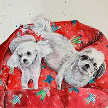Dogs, Bella and Nico. Gouache Painting project by Cristina Caggiano C - 03.22.2022