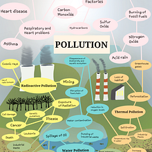 Types of pollution poster. Poster Design project by Audrey Chai - 03.17.2019