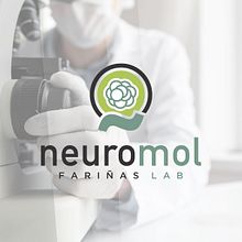 Branding para Neuromol. Laboratio de Isabel Fariñas, UV.. Un progetto di Br, ing, Br, identit e Graphic design di Juan Algaba Almerich - 01.05.2018