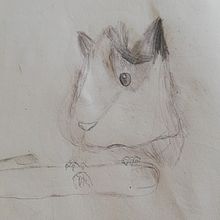Mis dibujos. Traditional illustration project by José Paz - 03.23.2022