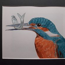 My project for course: Expressive Animal Portraits in Watercolor: a kingfisher. Traditional illustration, Watercolor Painting, Realistic Drawing, and Naturalistic Illustration project by jutta_atkinson - 03.23.2022
