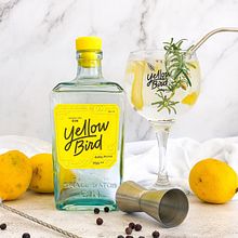 Yellow Gin. Product Photograph, Photograph, and Photographic Composition project by Léo Romano - 03.24.2022
