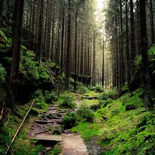 Mi Proyecto del curso: Escritura de un thriller psicológico. Un proyecto de Escritura, Stor, telling, Narrativa, Escritura de ficción y Escritura creativa de yaderybloom86 - 25.03.2022