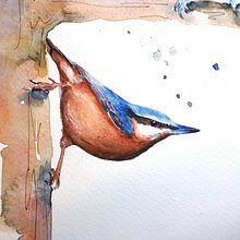 My project for course: Artistic Watercolor Techniques for Illustrating Birds. Projekt z dziedziny Trad, c, jna ilustracja, Malowanie akwarelą, R, sunek realist, czn, Ilustracja naturalist i czna użytkownika marieke_3 - 25.03.2022