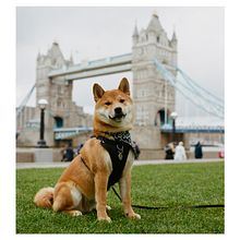 Mi Proyecto del curso: Introducción a la fotografía analógica . Fotografie și Fotografie de film de Penelope Fuster - 03.19.2022