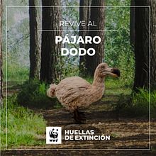 Huellas de Extinción (Footprints of Extinction). Projekt z dziedziny  Reklama, UX / UI, 3D,  Animacja,  Manager art, st, czn, Br, ing i ident, fikacja wizualna, Projektowanie postaci, Edukacja, Projektowanie gier, Projektowanie interakt, wne, Marketing, Web design, Tworzenie stron internetow, ch, Cop, writing, Portale społecznościowe, Kreat, wność, Ilustracja c, frowa,  Modelowanie 3D, Stor, telling, Marketing c, frow, Marketing mobiln, HTML, Marketing treści, Projektowanie c, frowe, Komunikacja, Kreat, wne zabaw, z dziećmi i Narracja użytkownika Pancho González - 31.03.2021