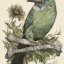 My project for course: Naturalist Illustration with Ballpoint Pen . Traditional illustration, Drawing, Realistic Drawing, and Naturalistic Illustration project by Michael Davies - 03.25.2022