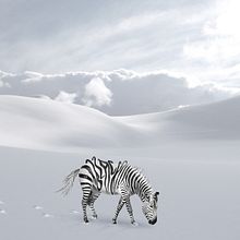 Mon projet du cours : Photomontage et illustrations fantastiques sur Photoshop. Photograph, Collage, Photo Retouching, Digital Illustration, Photographic Composition, and Photomontage project by Roxane Randel - 03.25.2022