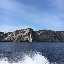 Mon projet du cours : Carnet de croquis pour explorer votre style de dessin. Een project van Traditionele illustratie,  Schetsen,  Creativiteit,  Tekening, Aquarelschilderen, Sketchbook y Schilderen met gouache van Josée DIon - 25.03.2022