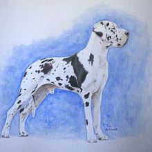 Mein Kursprojekt: Aquarelltechnik für traumhafte Illustrationen . Traditional illustration, Drawing, Watercolor Painting, and Editorial Illustration project by Trix Hofer-Renggli - 03.26.2022