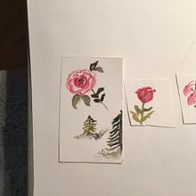 My project for course: Botanical Watercolor Sketchbook. Projekt z dziedziny Trad, c, jna ilustracja, Malowanie akwarelą, R, sunek botaniczn i Sketchbook użytkownika Virginia Rogers Bercier - 26.03.2022