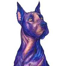 MY ANIMAL BOOK: Retratos expresivos de animales en acuarela. Un progetto di Illustrazione tradizionale, Pittura ad acquerello, Disegno realistico e Illustrazione naturalistica di Alex Vigo - 27.03.2022