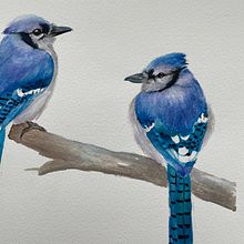 My project for course: Artistic Watercolor Techniques for Illustrating Birds. Un progetto di Illustrazione tradizionale, Pittura ad acquerello, Disegno realistico e Illustrazione naturalistica di Mara Ionescu - 27.03.2022