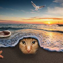 Mon projet du cours : Photomontage et illustrations fantastiques sur Photoshop. Un proyecto de Fotografía, Collage, Retoque fotográfico, Ilustración digital, Composición fotográfica y Fotomontaje de Jessee NC - 27.03.2022