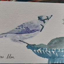 Mon projet du cours : Illustration naturaliste d'oiseaux à l'aquarelle. Traditional illustration, Watercolor Painting, Realistic Drawing, and Naturalistic Illustration project by Emilie Adelin - 03.28.2022