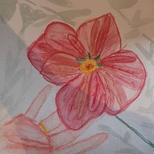 Mon projet du cours : Illustration botanique à l’aquarelle. Traditional illustration, Fine Arts, Painting, Drawing, Watercolor Painting, and Botanical Illustration project by Emilie Adelin - 03.28.2022