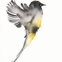 Birds in Europe. Traditional illustration, Advertising, Fine Arts, Painting, Set Design, Watercolor Painting, Decorative Painting, Botanical Illustration, and Naturalistic Illustration project by Silvia Molinari - 03.28.2022