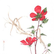 Ibiscus The Giant. Traditional illustration, Fine Arts, Watercolor Painting, Botanical Illustration, and Naturalistic Illustration project by Silvia Molinari - 03.29.2022