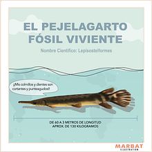 Infografia creativa Ein Projekt aus dem Bereich Infografik und Vektorillustration von Mariel Alexandra Batalla López - 29.03.2022