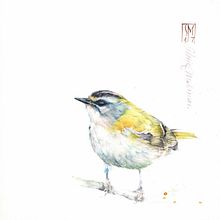 Exhibition in Salamon Fine Art gallery. Fine Arts, Painting, Watercolor Painting, Naturalistic Illustration, Traditional illustration, and Gouache Painting project by Silvia Molinari - 03.29.2022