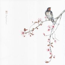 Prunus cerasifera e Rondine per Gardenia Magazine. Traditional illustration, Painting, Fine Arts, Watercolor Painting, Naturalistic Illustration, Botanical Illustration, Drawing, and Realistic Drawing project by Silvia Molinari - 03.29.2022