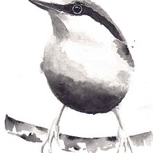 My project for course: Artistic Watercolor Techniques for Illustrating Birds. Un proyecto de Ilustración tradicional, Pintura a la acuarela, Dibujo realista e Ilustración naturalista				 de Zuzana - 29.03.2022