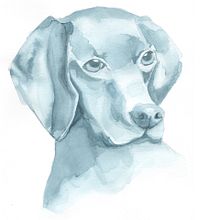 mascotas en acuarela a 1 color. Un projet de Illustration traditionnelle, Aquarelle , et Beaux Arts de Maria Victoria Comas - 30.03.2022