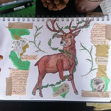 My project for course: Animal Illustration: Capturing Wildlife in a Sketchbook. Traditional illustration, Collage, Sketchbook, and Naturalistic Illustration project by Tash - 03.30.2022