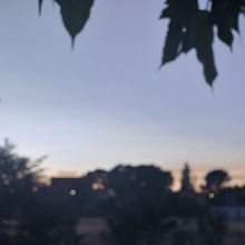 Nature. Fine-Art Photograph, and Mobile Photograph project by Dj Nirvana - 03.31.2022
