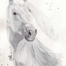 Mi Proyecto del curso: Retratos expresivos de animales en acuarela. Traditional illustration, Watercolor Painting, Realistic Drawing, and Naturalistic Illustration project by Otilia Navarro - 03.31.2022