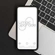 limbic upgrade [corporate & typedesign]. Design, T, pograph, T, pograph, Design, Logo Design, Web Design, Interactive Design, UX / UI, Creative Consulting, and Poster Design project by Rafael Bernardo - 03.31.2022