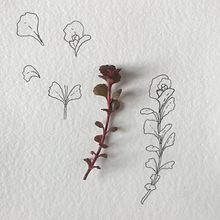My project for course: Botanical Sketchbooking: A Meditative Approach. Un progetto di Illustrazione tradizionale, Bozzetti, Disegno, Pittura ad acquerello, Illustrazione botanica e Sketchbook di Olga Ionova - 30.03.2022