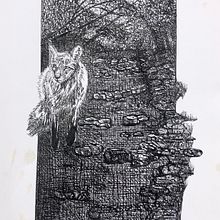 My project for course: Dip Pen and Ink Illustration: Capturing The Natural World. Sketching, Drawing, Artistic Drawing, Sketchbook, Ink Illustration, and Naturalistic Illustration project by Skyler Yates - 03.25.2022